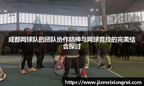 星空体育平台app