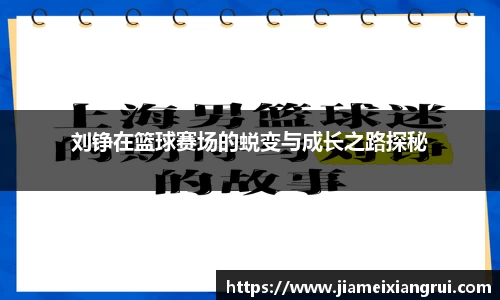 星空官网