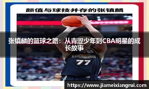 星空体育网站入口